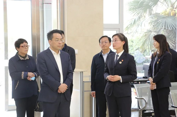 中国侨联副主席一行到我处调研
